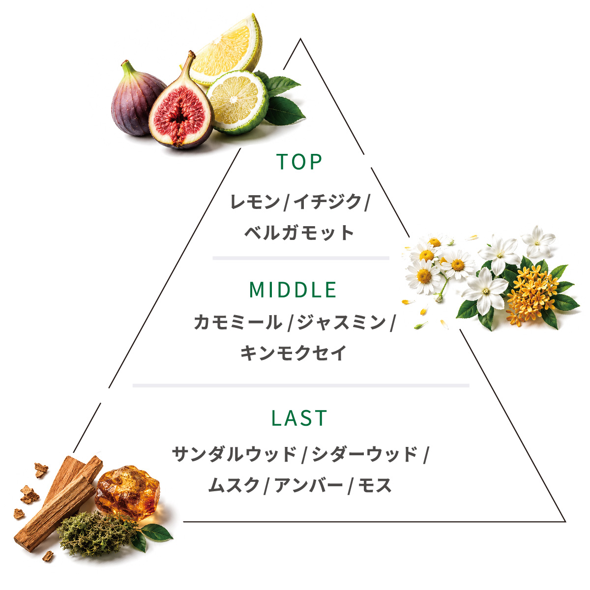 サンプル製品 画像 1